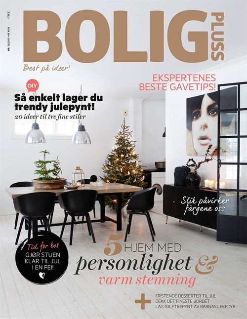 Bolig pluss abonnement for deg som tenker på hjemmet