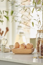 Premium choice image