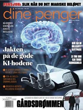 Dine Penger forside